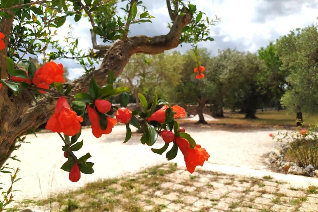 Trullo Mami Villa Путиняно Екстериор снимка
