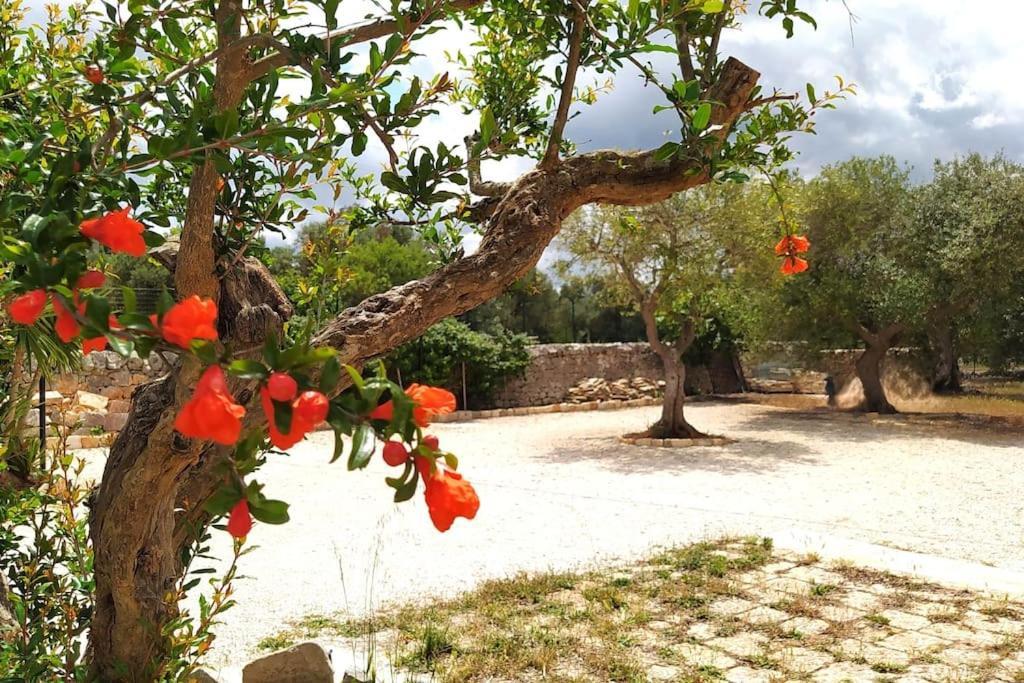 Trullo Mami Villa Путиняно Екстериор снимка