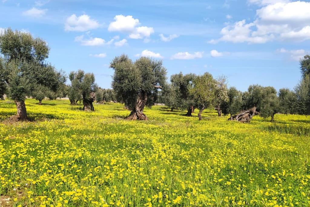 Trullo Mami Villa Путиняно Екстериор снимка
